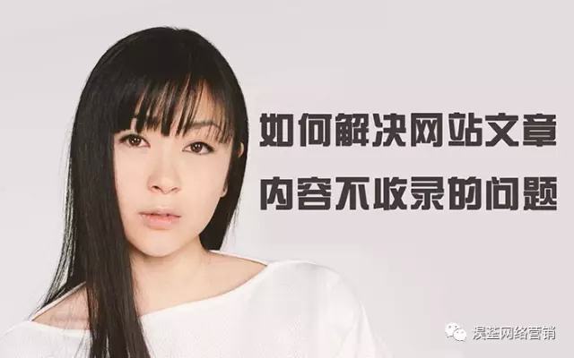 网站收录