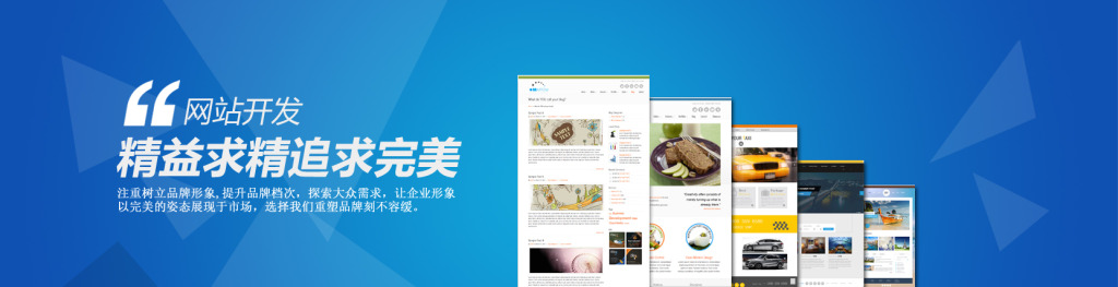 网站开发