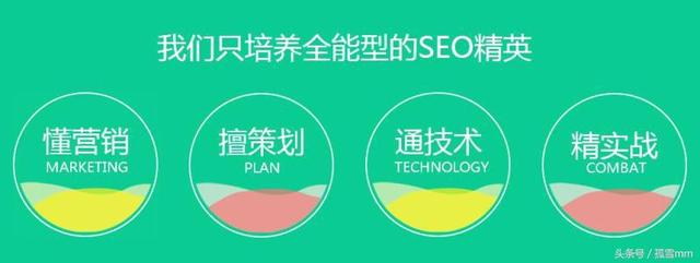 网站seo优化