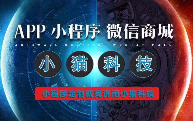 小程序定制开发商