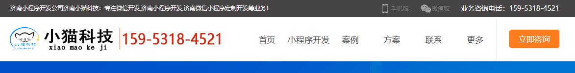 微信小程序模板网站平台，小程序界面设计模板套用